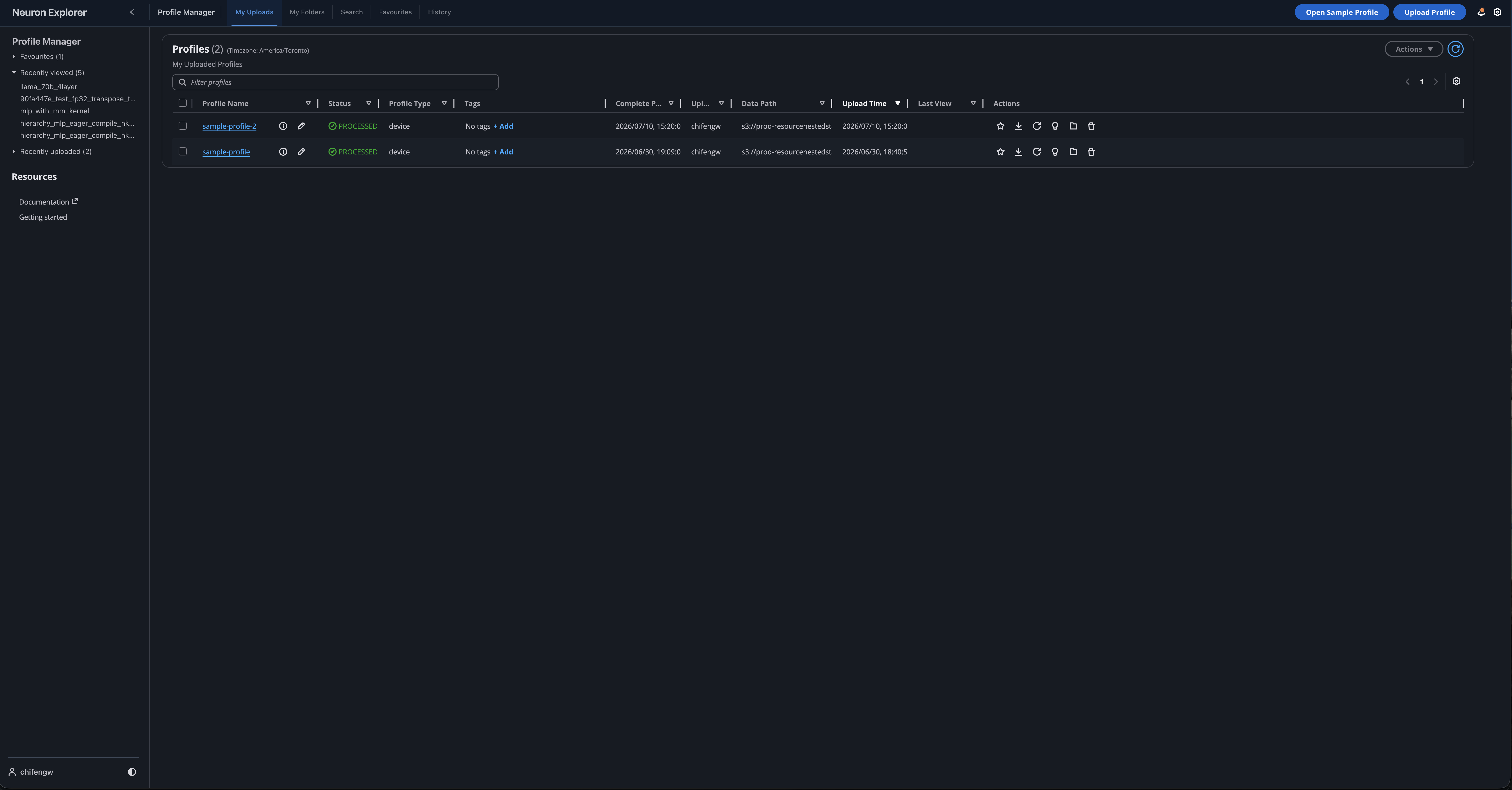 ../../_images/neuron-explorer-browser-landing.png